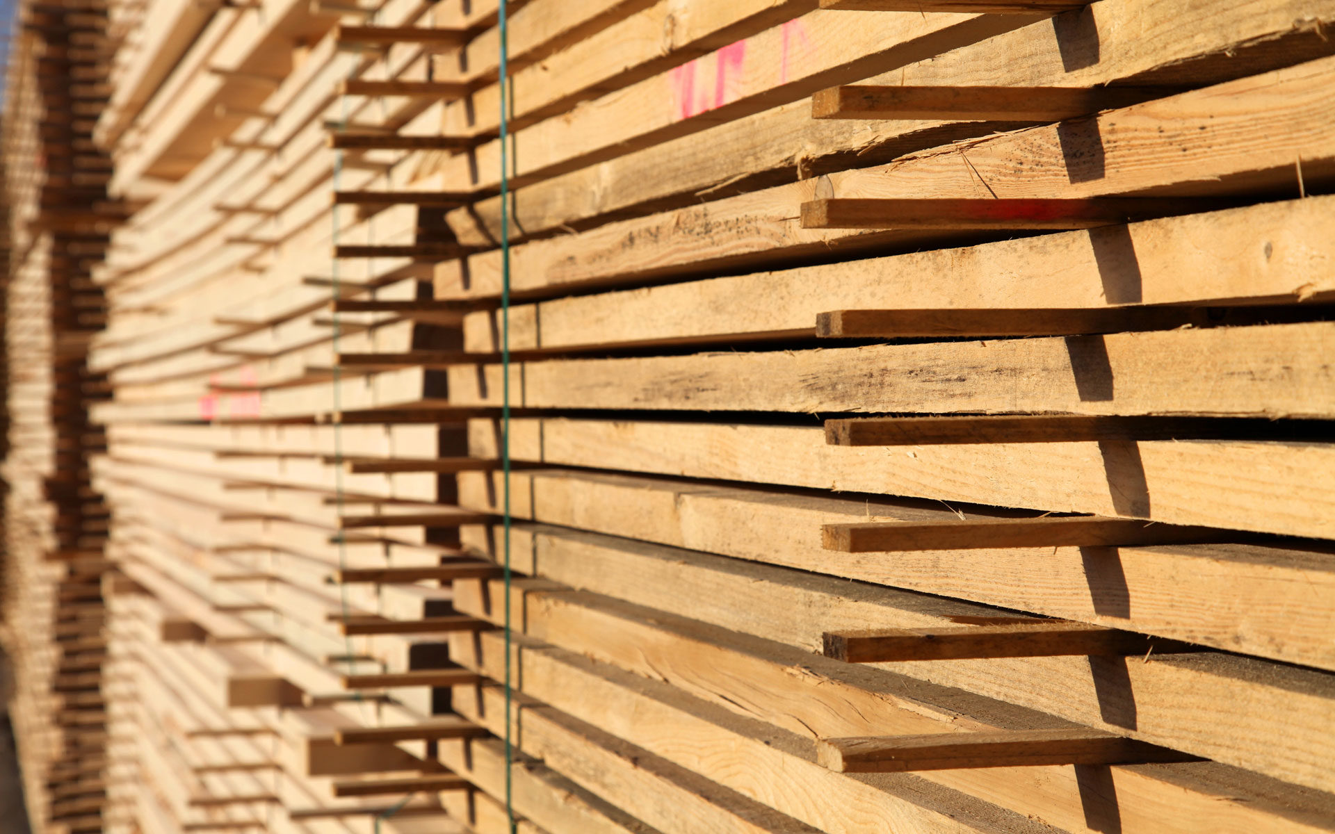 Sägewerk , Sauerland, Schmallenberg, Forstwirtschaft, Nachhaltigkeit, Holzstämme